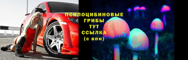 тгк Арсеньев