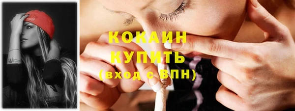 тгк Арсеньев