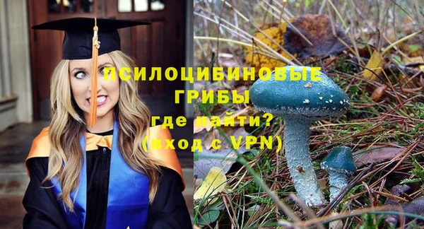 молекула духа Армянск